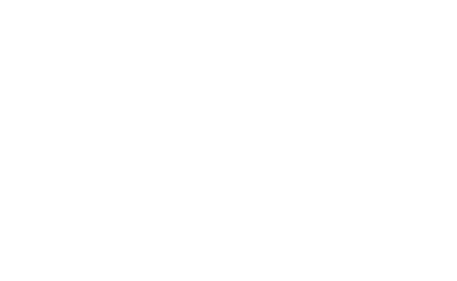 Advanz copy