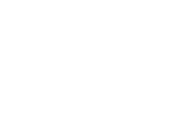 Nettstudio