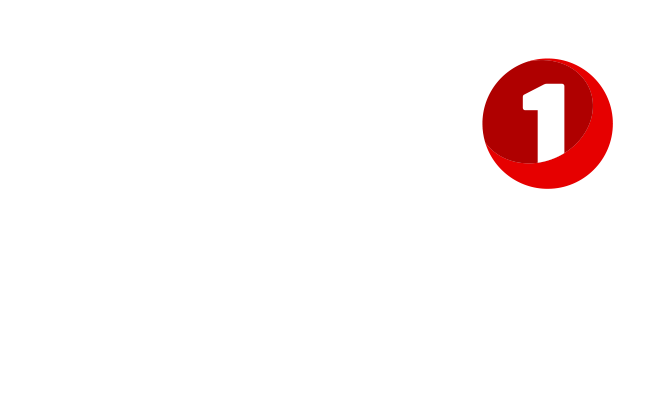 snv regnskap copy