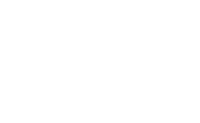 Norseye